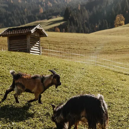 Lammwirt Szálloda 4*