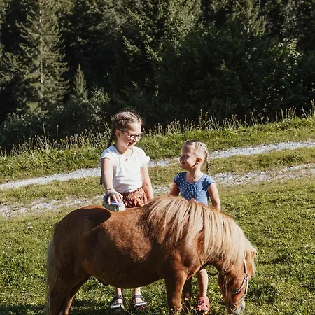 ホテル Lammwirt グロースアルル